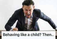 Temperamental Boss Throws Screaming Fits Whenever Things Didn’t Go His Way, So A Fed-Up Employee Treated Him Like A Toddler Having A Tantrum