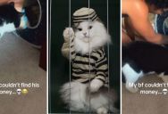 When Money Keeps Going Missing In Your House, Who Do You Suspect First? For These TikTokers, Their Cat Was The Prime Suspect.