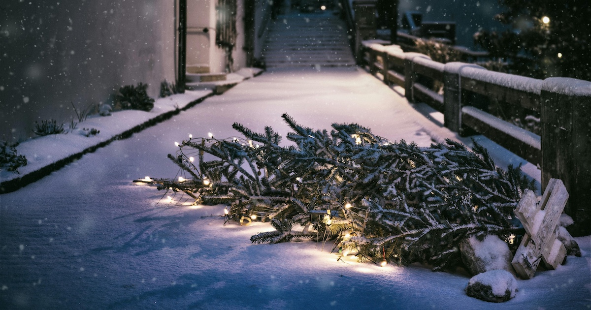 Ever Find Yourself Feeling Anxious About Christmas? Now Is The Time To Learn About Christougenniatikophobia, The Fear Of Christmas! A toppled Christmas tree