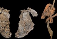 Tiny Scraps Recovered From A Late Pleistocene Cave Could Be The Earliest Examples Of Sewn Clothing