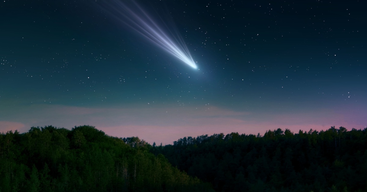 Comet in the Sky
