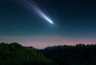 Record Breaking Sungrazing Comet Is On Track To Become The Brightest Comet Of The Year When It Passes By Our Star In April