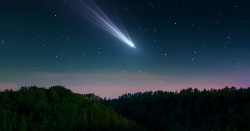 Comet in the Sky