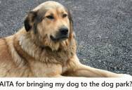 Dog Owner Brought Her 40-Pound Dog To A Quiet Dog Park, But After A One Hundred Twenty Pound Dog Pinned Him Down, The Owner Told Her She Should Have Known Better