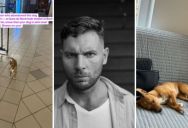 It Is Unconscionable To Abandon A Dog, So When She Found An Abandoned Pup At The Train Station, This TikToker Knew They Had To Take Her In