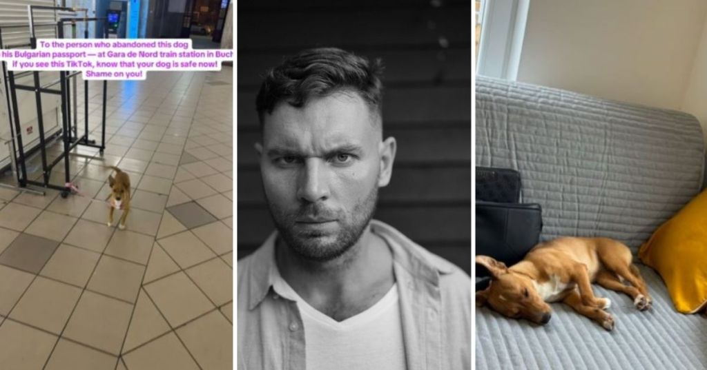 Upset man and dog
