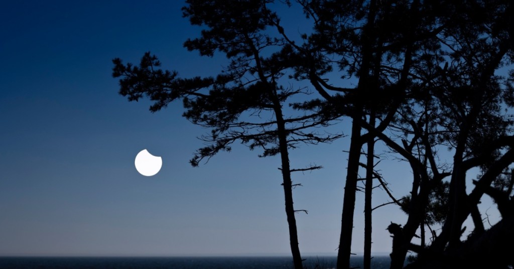 Trees with eclipse