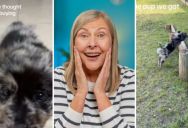 When Picking Out A New Puppy, You Can’t Really Tell What Type Of Personality They Will Have Until They Are Home For A While