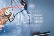 Is It Possible To Learn About Life Before The Last Universal Common Ancestor? It Was Once Considered An Unsolvable Mystery, But A New Study Offers Key Insights.