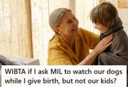 Expectant Mom Worries That Her Mother-In-Law’s Undisciplined Visits And Unfenced Pool Would Make Postpartum Harder, So She Plans To Let Friends Watch The Kids And Ask Her MIL To Only Take The Dogs Instead