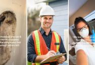 This Couple Bought A New Home Only To Discover One Of The Walls Was Entirely Covered By Mold That Was Hidden Behind The Refrigerator
