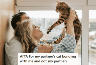 Insecure Boyfriend Got Mad At His Girlfriend Because Their Cat Bonded With Her More, And Now She’s Not Sure How To Convince Him That It Is Not Her Fault
