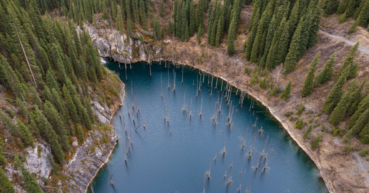 Kaindy Lake Was Formed Just Over 100 Years Ago And Its Unique