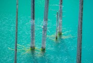 Kaindy Lake Was Formed Just Over 100 Years Ago And Its Unique Conditions Give It A Look That You Won’t Find Anywhere Else On The Planet