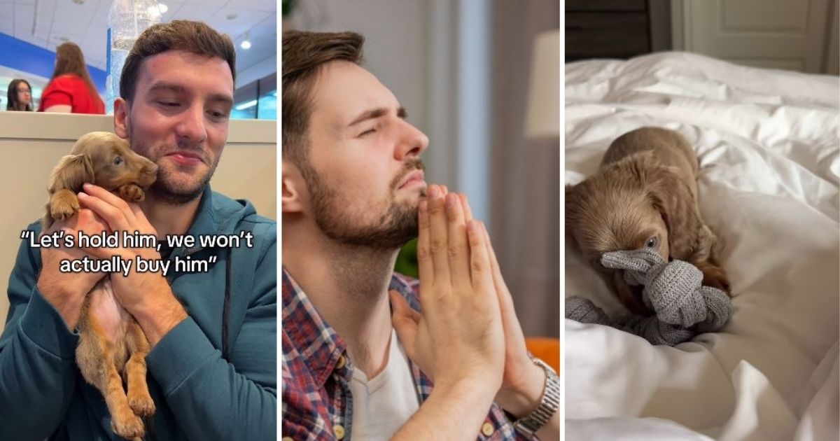 Can we get a new dog?