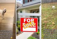 Moving Into A New House Is Exciting For People, But For A Dog Who Has Always Lived In An Apartment, It Is Downright Amazing