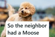 Dad Jokingly Told His Boys To Return Something To The Neighbor’s House, But The Kids Didn’t Catch The Sarcasm And Actually Did It