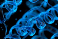 What Is The Difference Between Proteins, Enzymes, And Peptides, And Why Does It Matter?