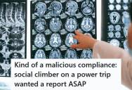 Radiologist Delivered An Exhaustively Technical Report Full Of Jargon After Her Newly Promoted Superior Demanded It Be Completed Early, But The Superior Was Forced To Delete And Rewrite It To Avoid Looking Incompetent