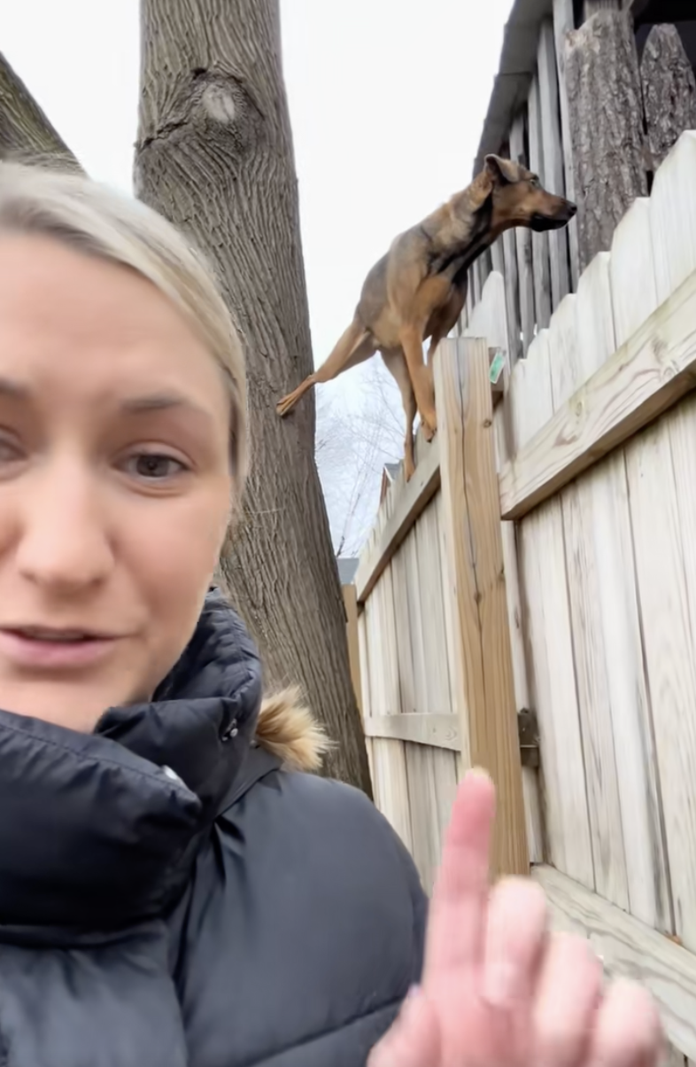 Check out this PSA from my mom. Dogs are so good at climbing things that some people think the video is AI. woman with dog