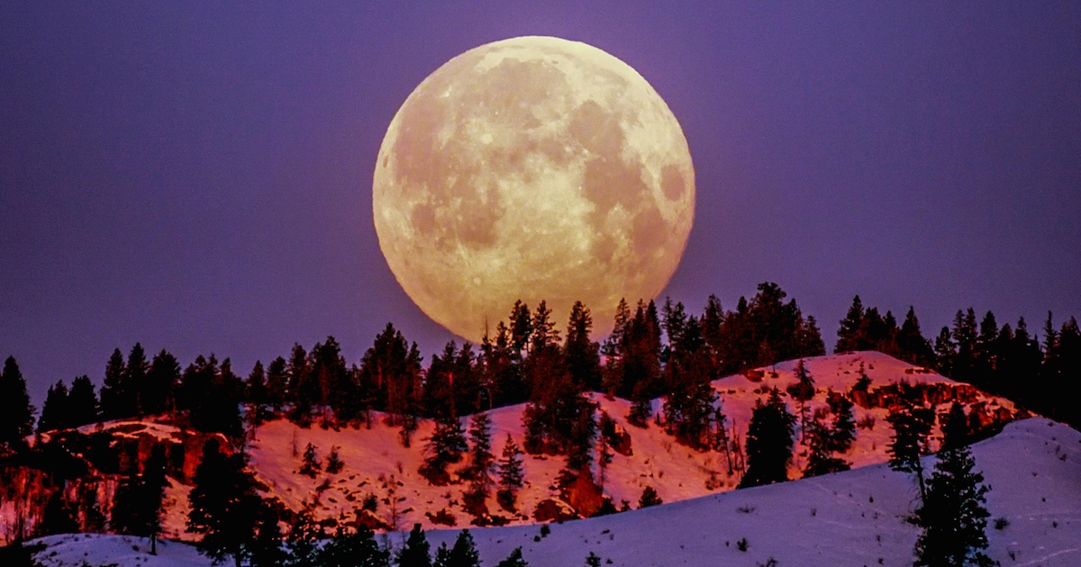 A supermoon above snow and trees