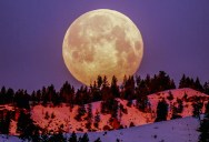 Here’s When 2026 Will See Its Next Supermoon, And Why It’ll Be Worth The Wait