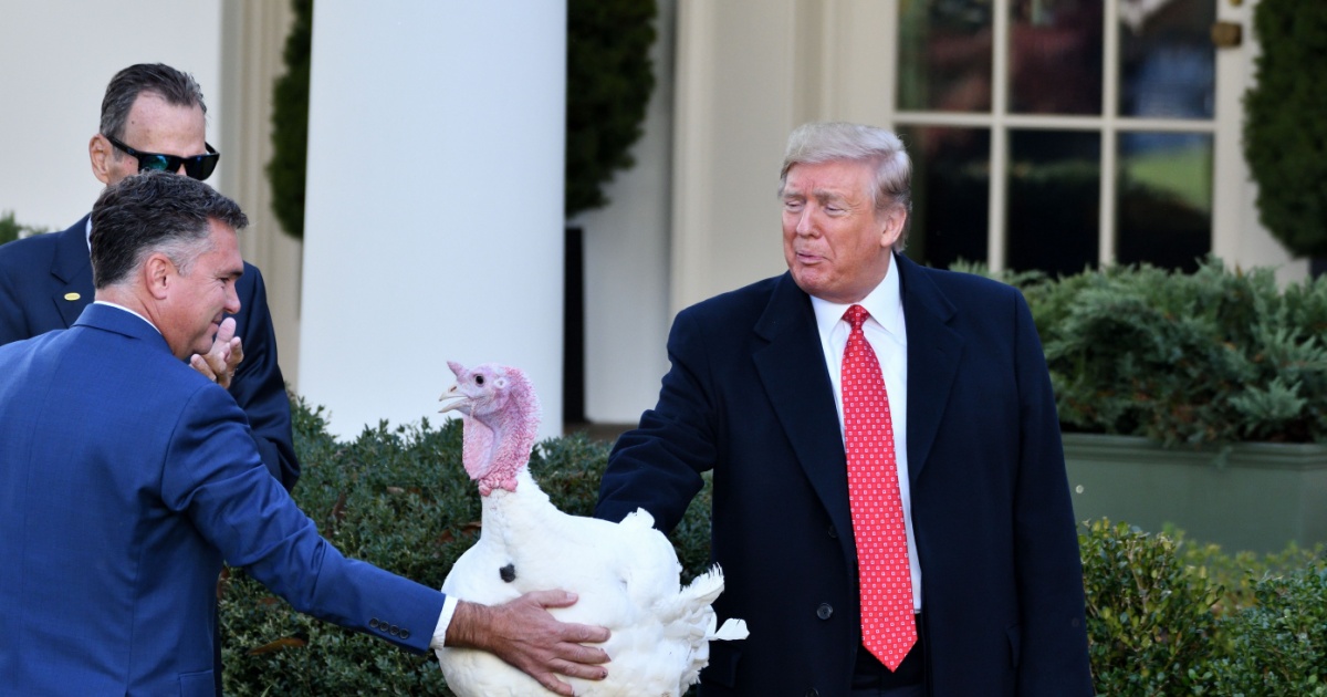 Trump pardoning turkey