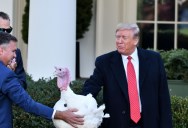 How Did The Tradition Of Giving A Presidential Pardon To A Thanksgiving Turkey Begin?