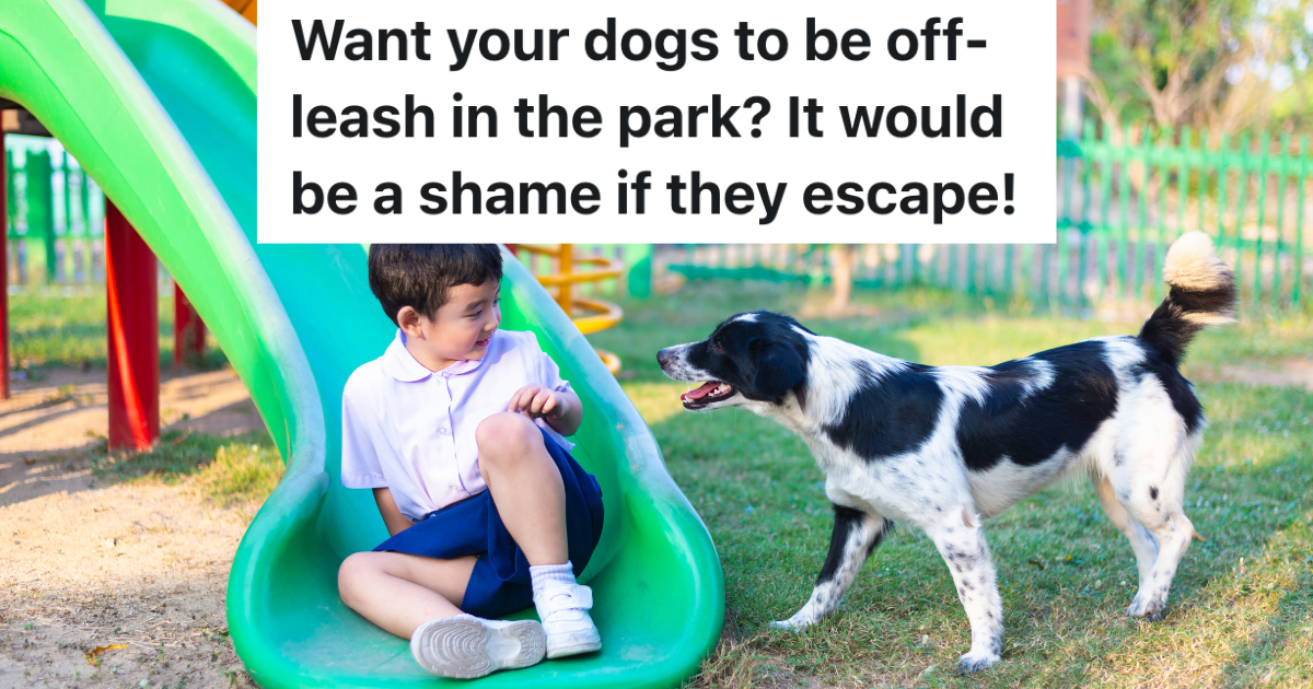 little boy sitting at the end of a green slide looking at a black and white dog