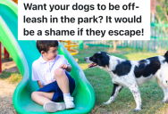 Neighborhood Is Allowed To Use School’s Playground Area During Non-School Hours, But Some People Treat It Like A Dog Park
