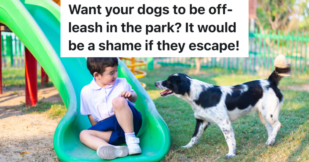 little boy sitting at the end of a green slide looking at a black and white dog