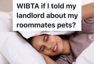Woman Is Annoyed That Her Roommates Play Loud Music While She’s Trying To Sleep, So She’s Thinking About Telling The Landlord They Have Pets