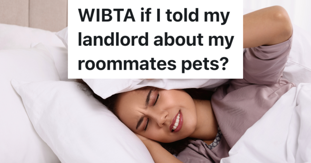woman covering his ears with pillows to try to sleep through noise