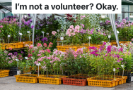 Botany Student Volunteers To Assemble Boxes Before A Plant Sale, But The Person In Charge Claims He Can’t Volunteer