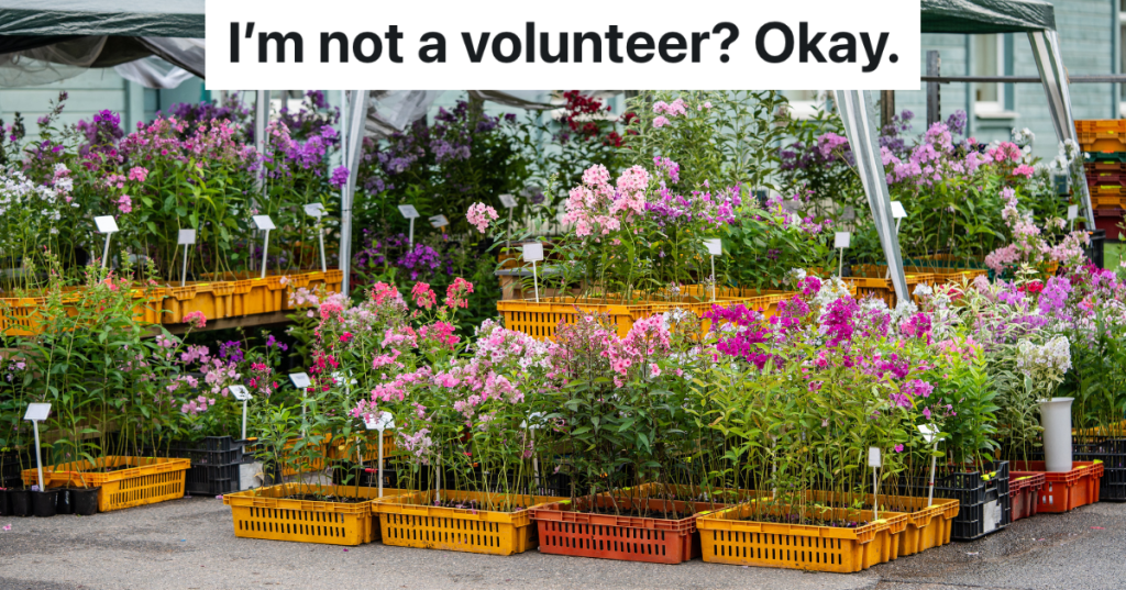 flowering plants for sale outside