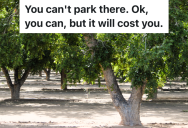 Truck Driver Parks His Vehicle In A Pecan Grove, But The Owner Is Furious Because The Truck Is Damaging His Land