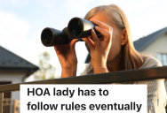 Homeowner Is Accused Of Breaking The HOA Rules Several Times By The Same Annoying Neighbor, But It Turns Out She Was Breaking A Rule Too
