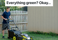 High School Student Mows Neighbors’ Lawn For Free, But A Woman In The Neighborhood Tells Him To Do Something That She Later Realized Was A Bad Idea