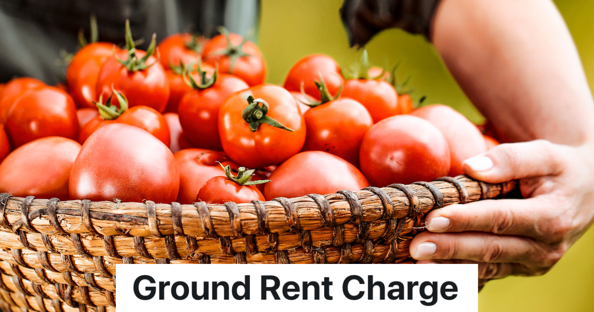 closeup of a woman's arm around a basket of tomatoes