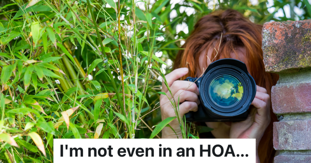 nosey woman with camera peeking through bushes