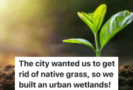 Biologist Develops An Urban Farm In An Area That’s Zoned Agricultural, But The City Mows Down All Of The Plants