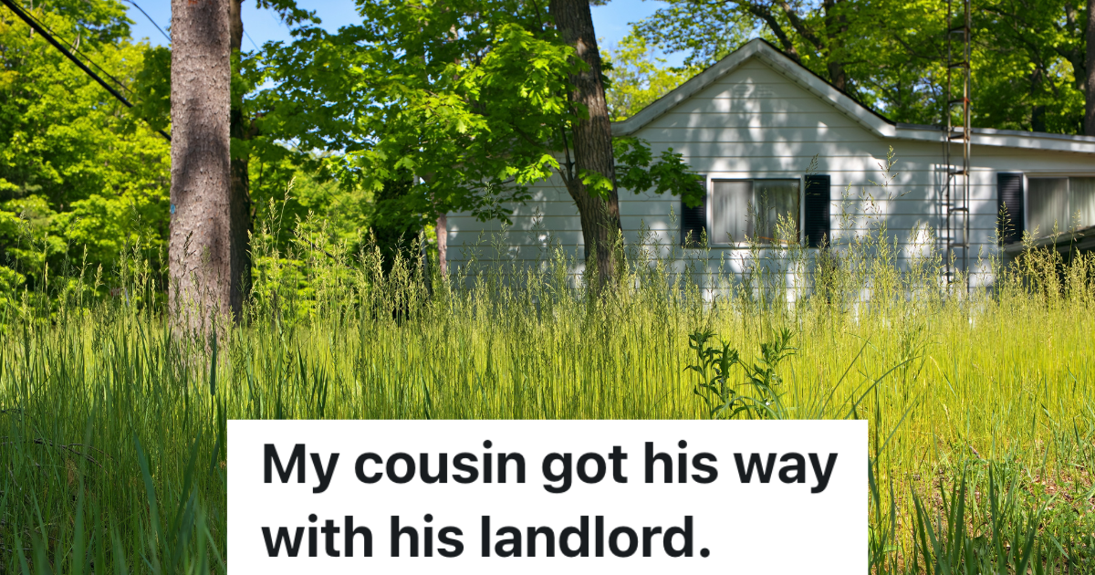 overgrown grass in front of a house