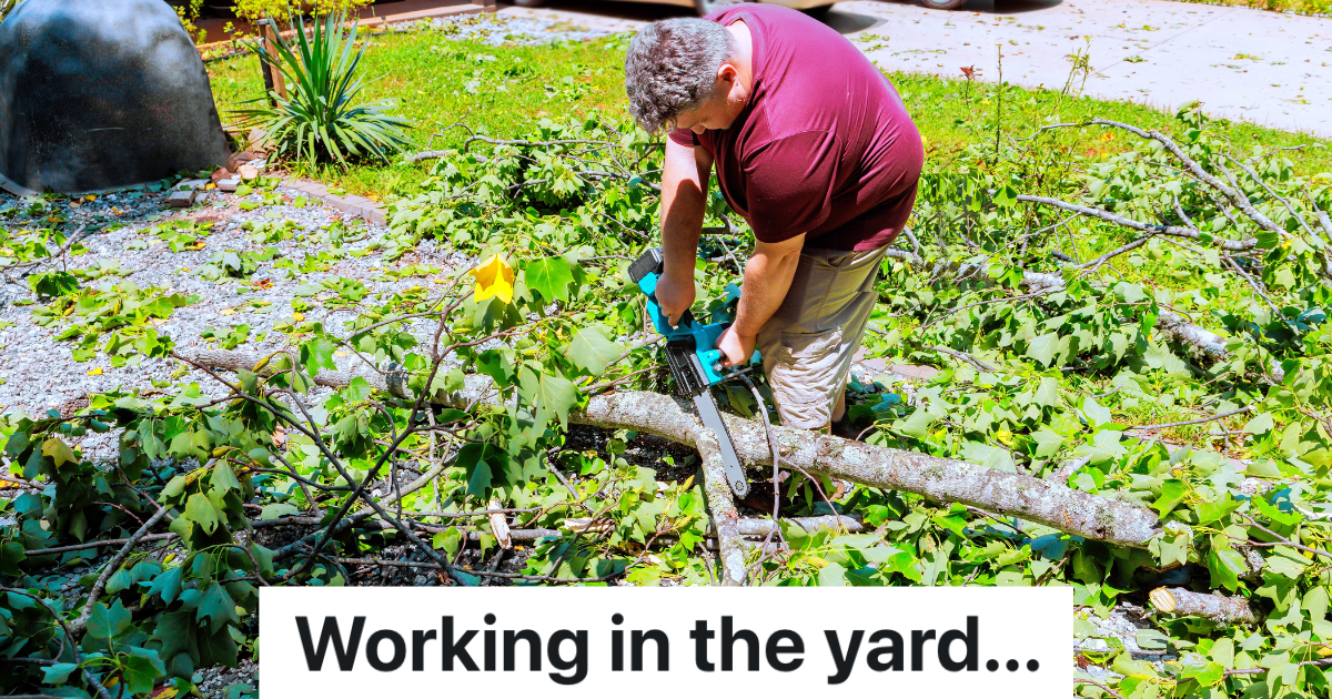 man trimming a tree branch