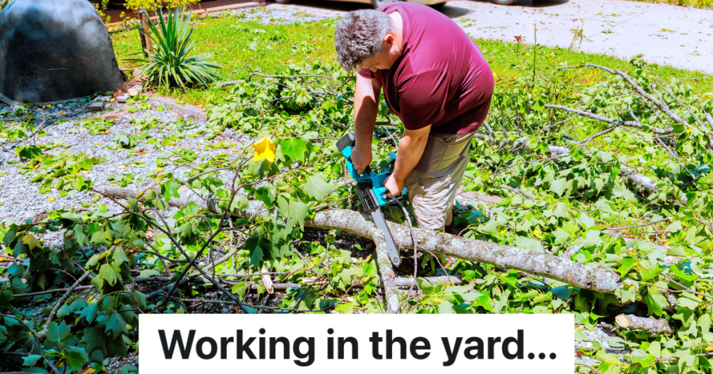 man trimming a tree branch