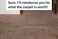 Landlord Tries To Force Renter Into Paying To Replace The Carpet In His Rental Home, But The Renter’s Brother Knows The Law