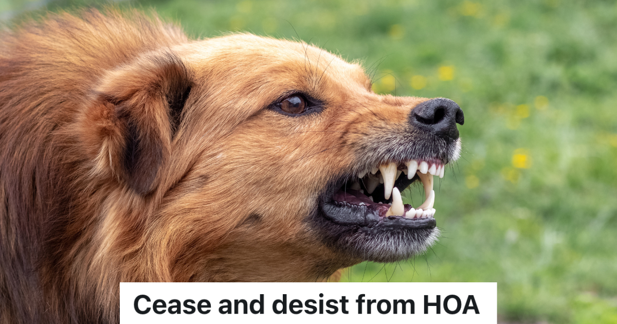 angry dog baring its teeth