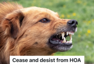 Next Door Neighbors In An HOA Try To Attack Woman Multiple Times, So She Gathers Evidence And Gets The HOA On Her Side