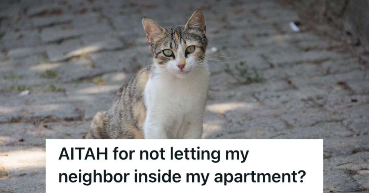 Neighbor Was Looking For Her Missing Cat, But This Man Refused To Let Her In Because Hes Not Comfortable With Strangers In His House Cute cat with white, black, and brown fur