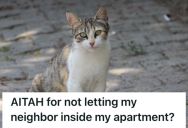 Neighbor Was Looking For Her Missing Cat, But This Man Refused To Let Her In Because He’s Not Comfortable With Strangers In His House