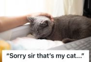 Employee Was Working From Home And Talking To A Coworker On The Phone When His Cat Started Screaming, So The Coworker Thought He Had A Baby In The House